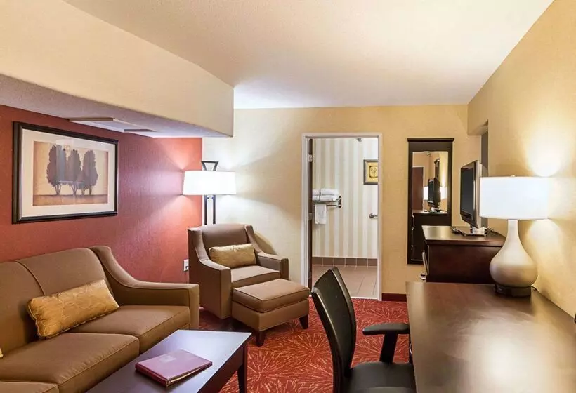 Отель Comfort Suites Airport