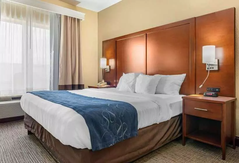 ホテル Comfort Suites