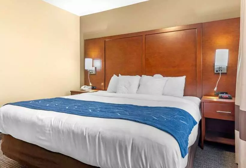 ホテル Comfort Suites