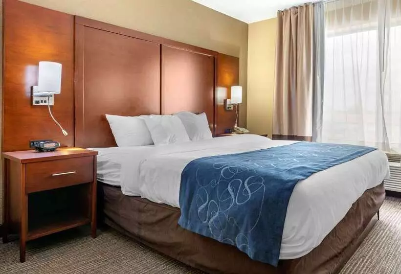 ホテル Comfort Suites