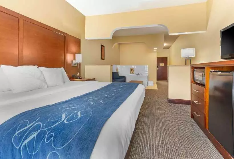 ホテル Comfort Suites