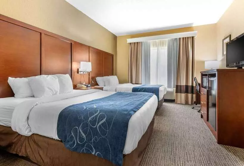 ホテル Comfort Suites