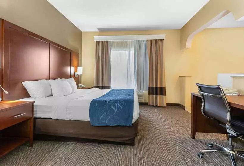 ホテル Comfort Suites