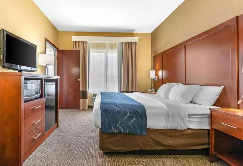 ホテル Comfort Suites