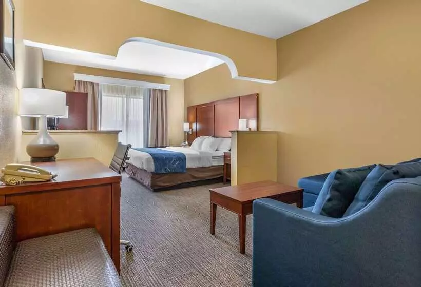 ホテル Comfort Suites