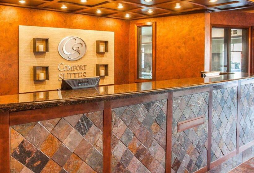 酒店 Comfort Suites Moses Lake