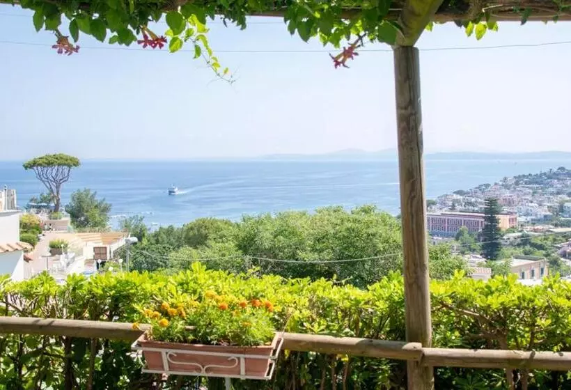 Hotelli Guesthouse Coralba