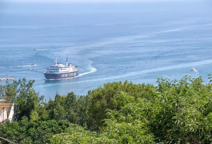 Hotelli Guesthouse Coralba