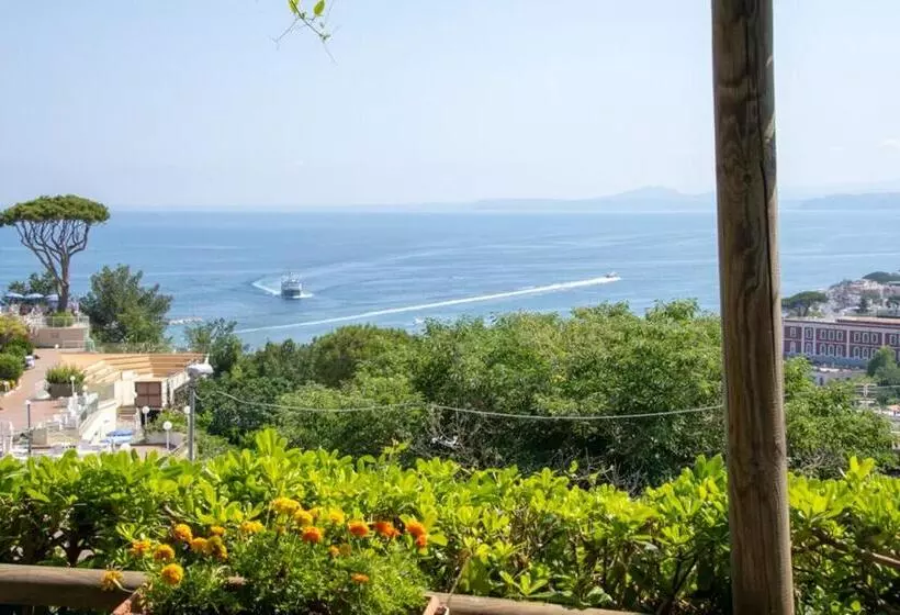 Hotelli Guesthouse Coralba