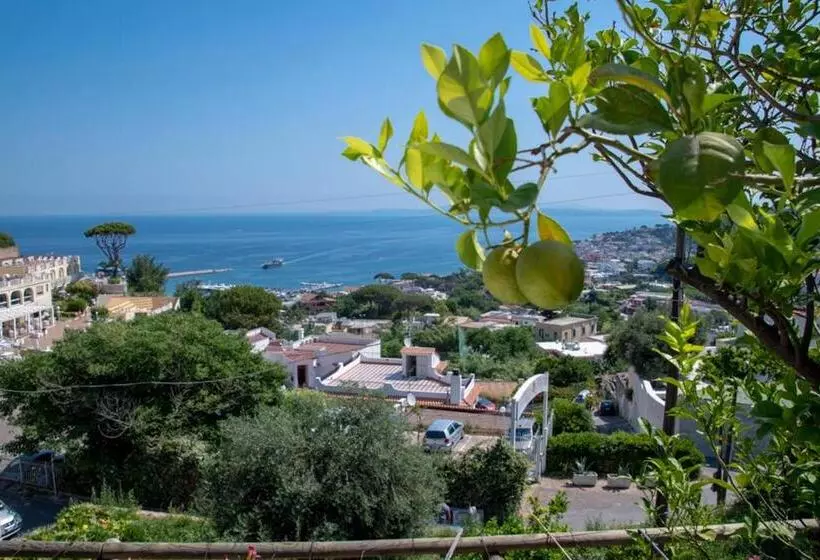 Hotelli Guesthouse Coralba