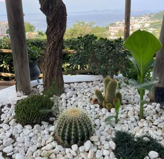 Hotelli Guesthouse Coralba