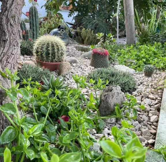 Hotelli Guesthouse Coralba