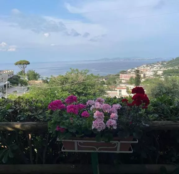 Hotelli Guesthouse Coralba