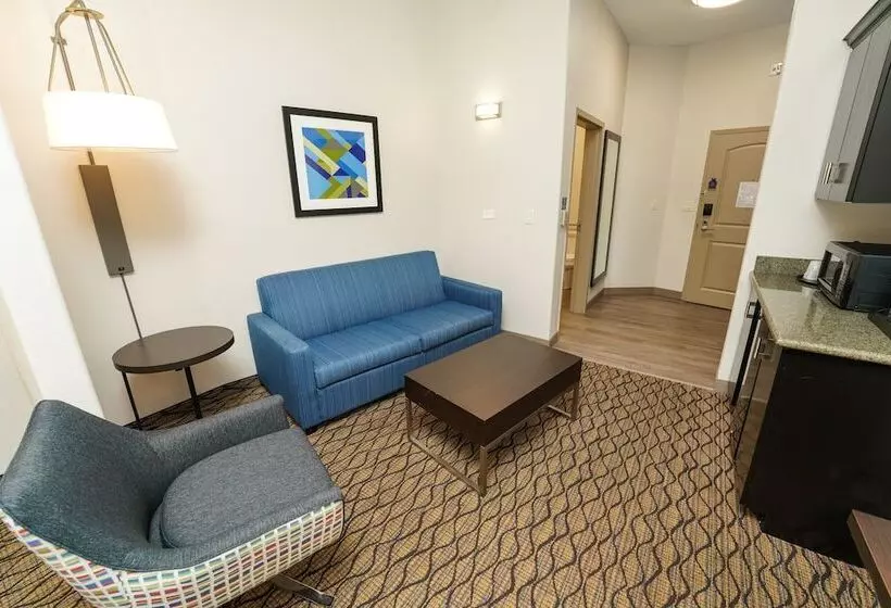 Hotelli Holiday Inn Express And Suites Springfield Medical District, An Ihg