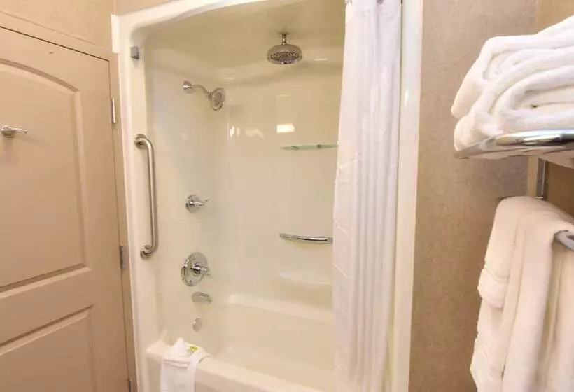 Hotelli Holiday Inn Express And Suites Springfield Medical District, An Ihg