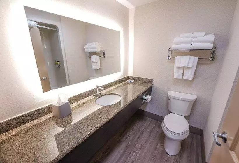 Hotelli Holiday Inn Express And Suites Springfield Medical District, An Ihg