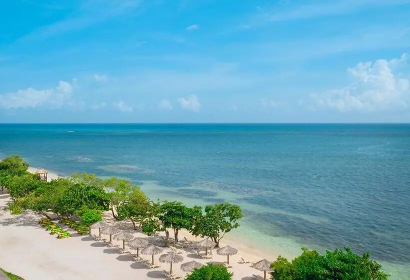 ホテル Iberostar Waves Rose Hall Beach