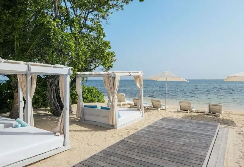 ホテル Iberostar Waves Rose Hall Beach