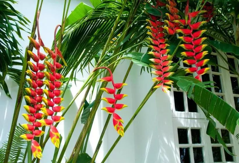 فندق Negril Palms