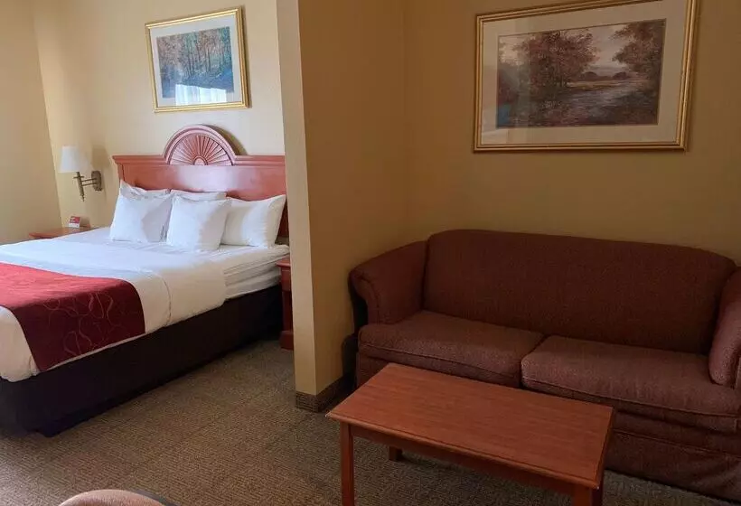 Surestay Plus Hotel By Best Western Mesquite