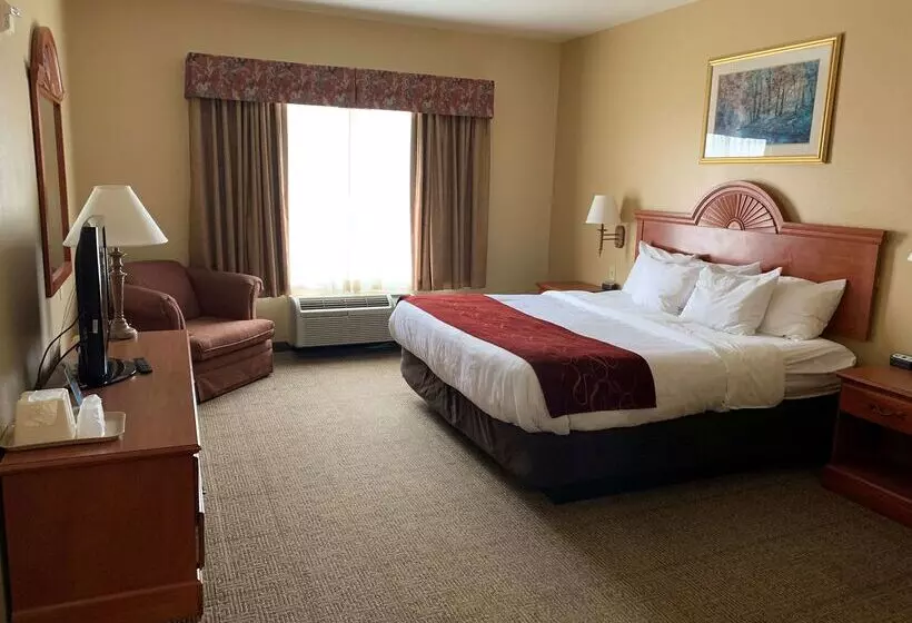 Surestay Plus Hotel By Best Western Mesquite