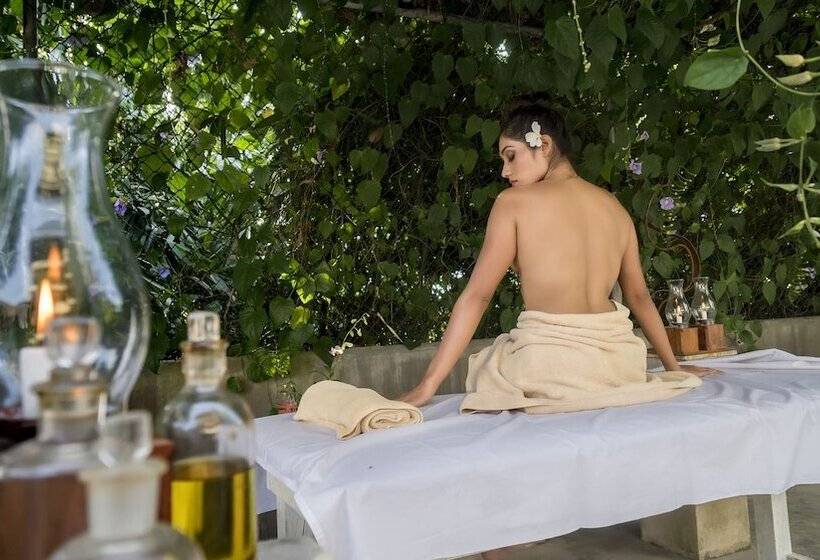 فندق The Lady Hill