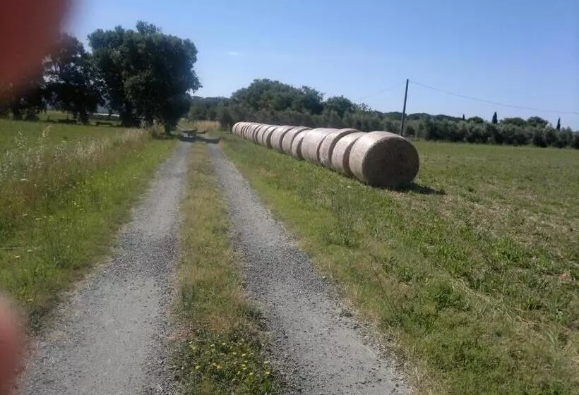 Hotelli Agriturismo Il Selvello