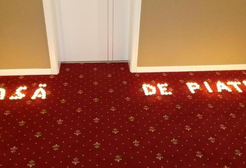 Hotel Conacul Din Ardeal