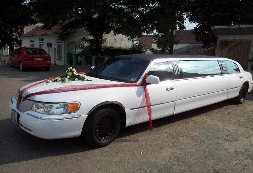 Hotel Conacul Din Ardeal