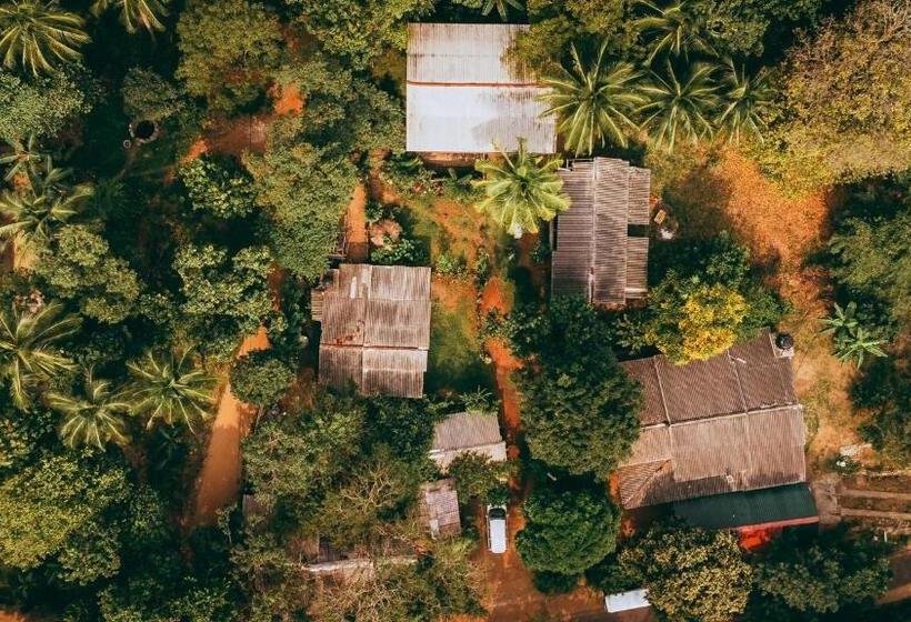 فندق Sigiri Liya Rest