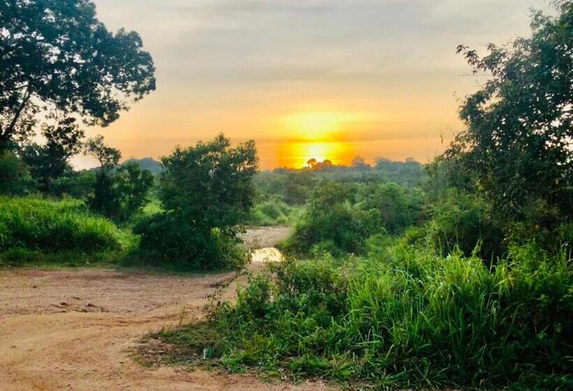 فندق Sigiri Liya Rest