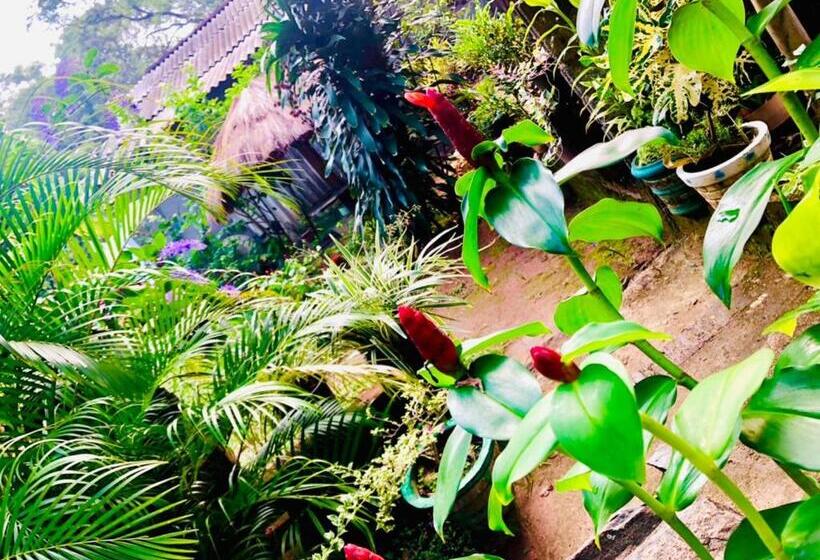 فندق Sigiri Liya Rest