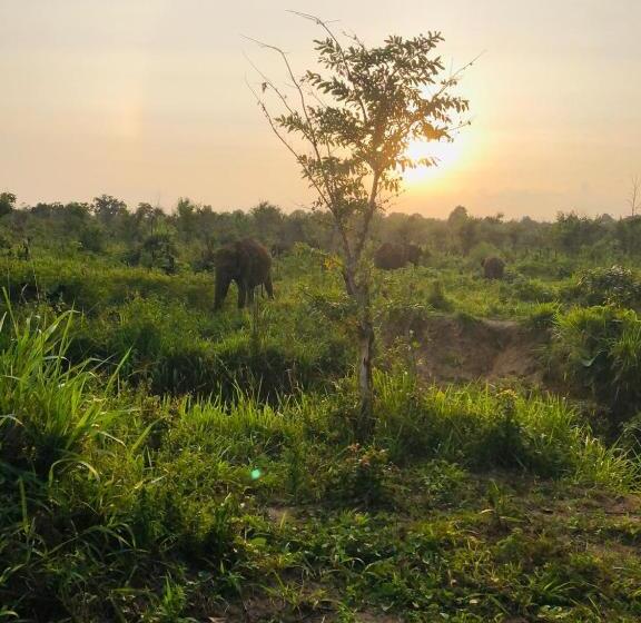 فندق Sigiri Liya Rest