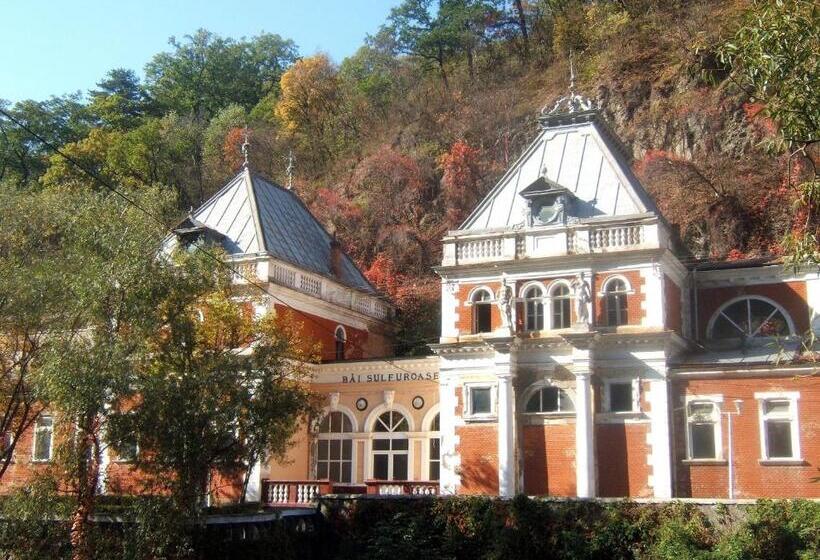 Pensiunea Floare De Colt