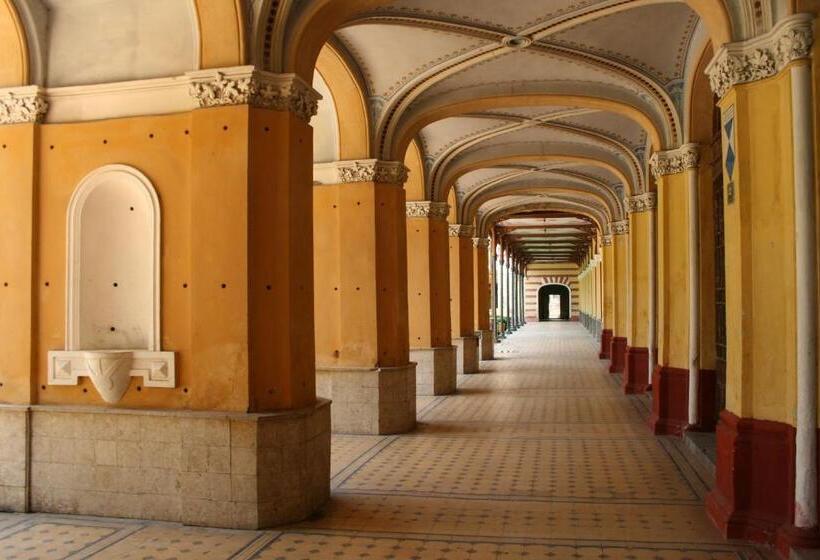 Pensiunea Floare De Colt