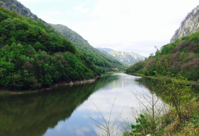 Pensiunea Floare De Colt