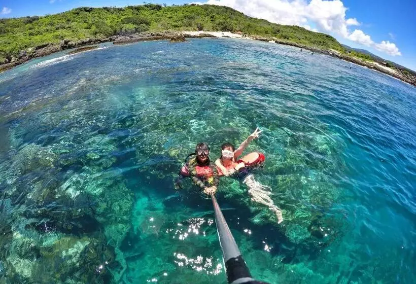 Imanuel Surfing B&b