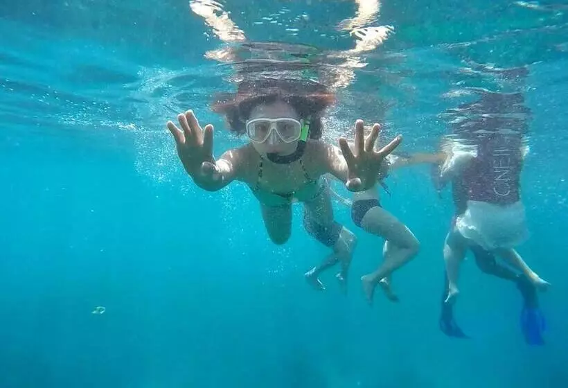 Imanuel Surfing B&b