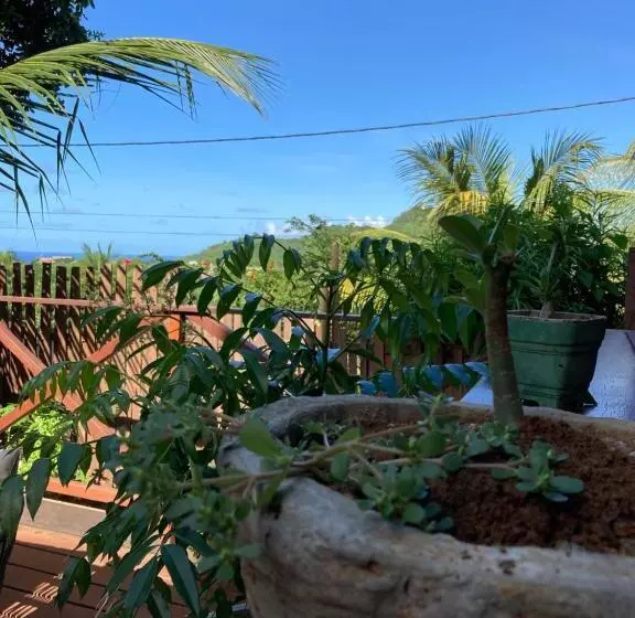 پانسیون Flats Baia Dos Porcos