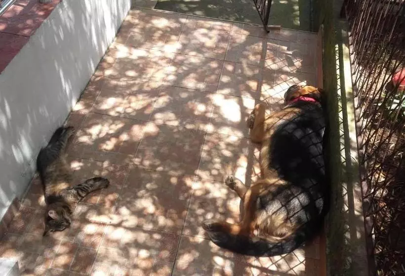 پانسیون Guest House Vila Bak