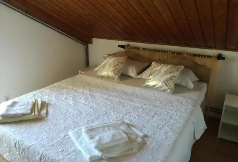 پانسیون Guest House Vila Bak