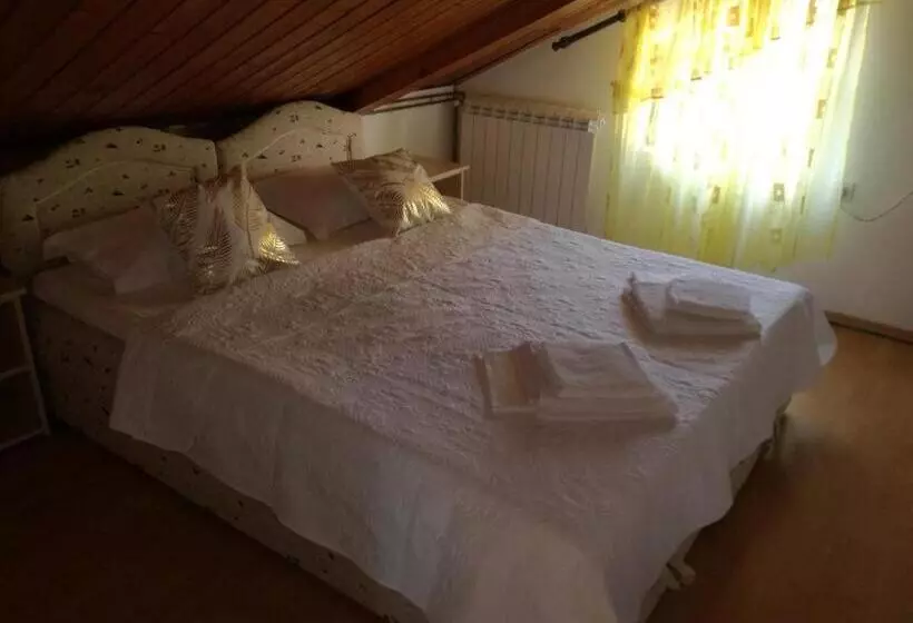 پانسیون Guest House Vila Bak