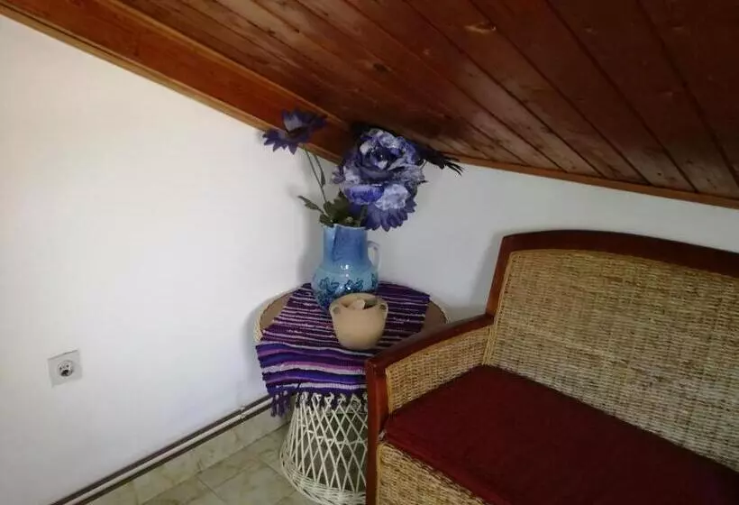 پانسیون Guest House Vila Bak