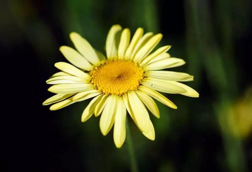 Aamiaismajoitus (B&B) Domaine De La Juranvillerie, Gîte Et Chambres D Hôtes