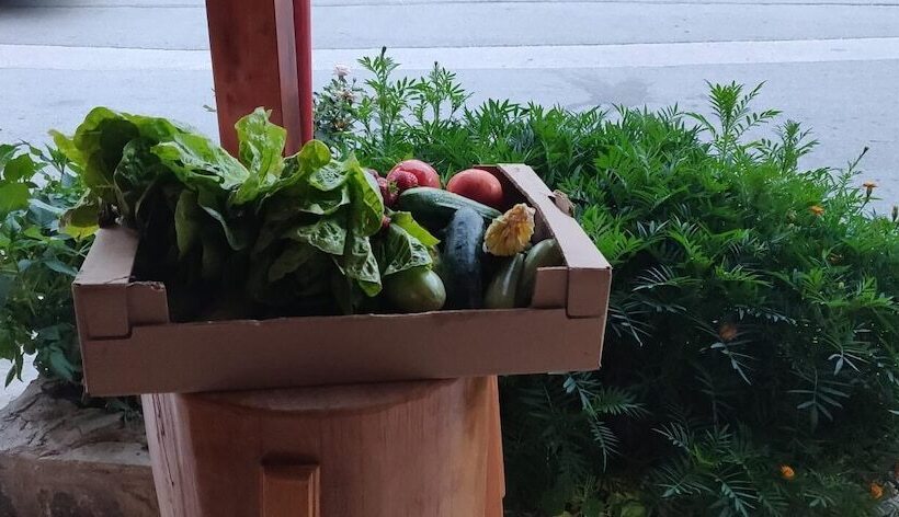 호텔 Dionysus Lasithi Plateau