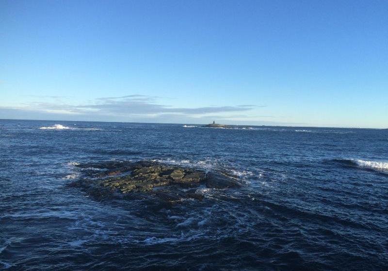 Hotel Hustadvika Guesthouse