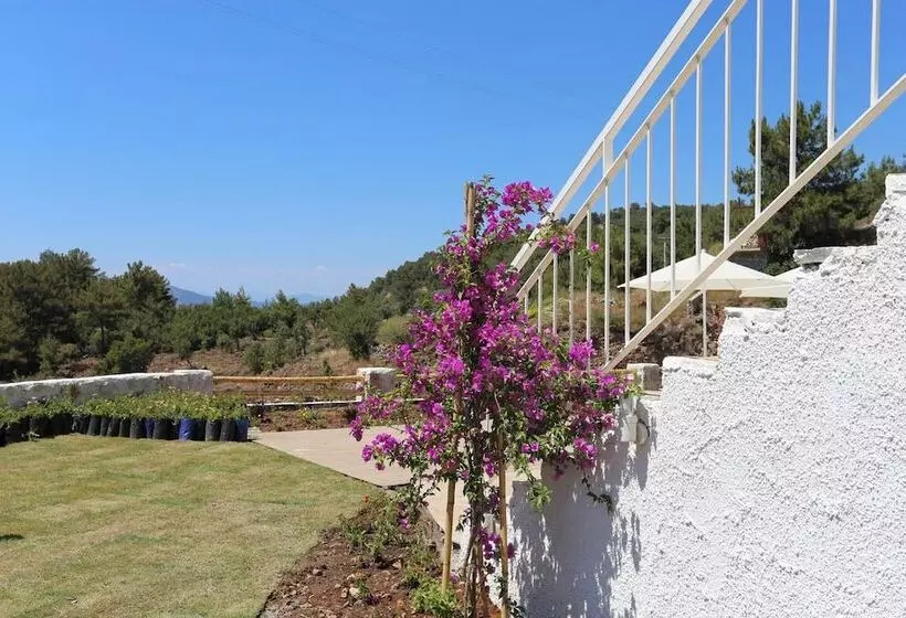 ベッドアンドブレックファースト Faralya Tuz