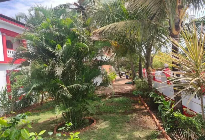 ホテル Nv Beach Resort
