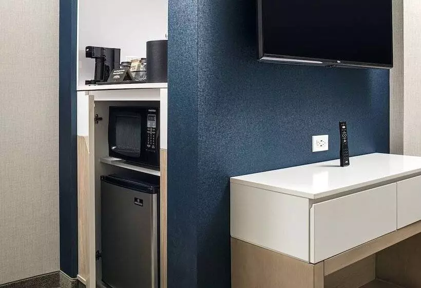 Hotelli Springhill Suites By Marriott Savannah Richmond Hill