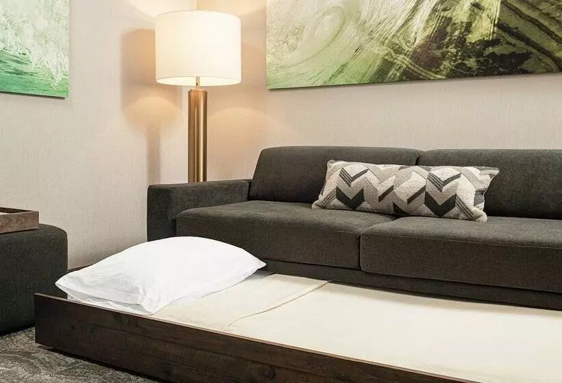 Hotelli Springhill Suites By Marriott Savannah Richmond Hill